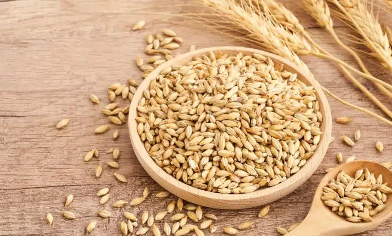 Barley porridge is beneficial in reducing obesity, it provides these other health benefits