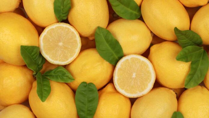 Change the way of keeping Lemons in the fridge, they will remain yellow and fresh for a month