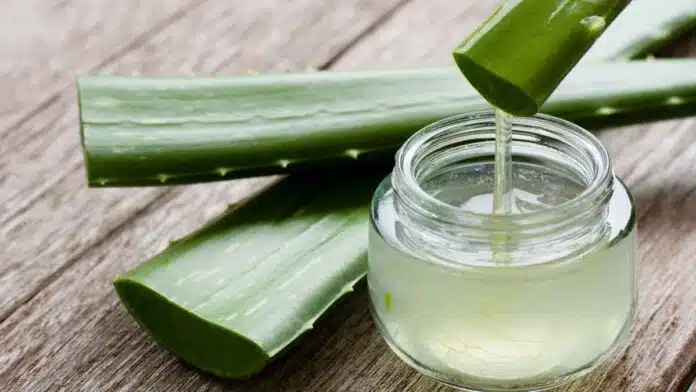 Clean your face with Aloe vera in this way, your skin will shine