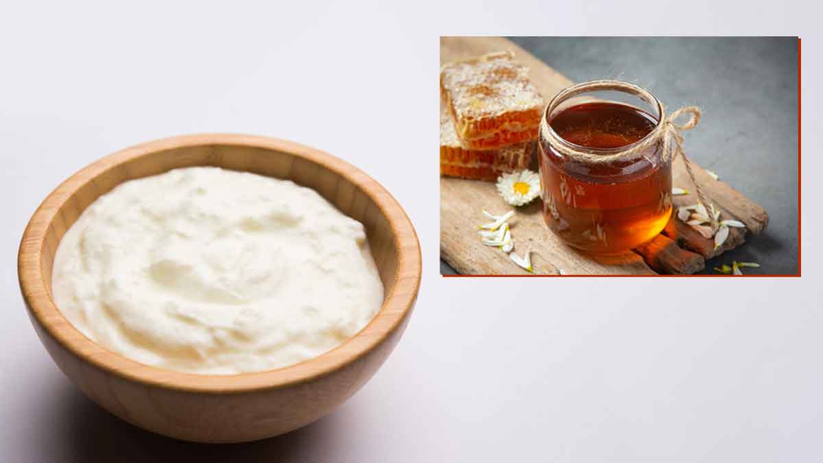 Curd brightens dull skin, make these 7 Face packs in this way