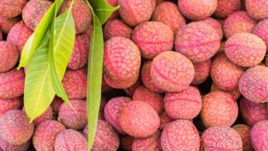 Does eating Litchi increase or decrease weight