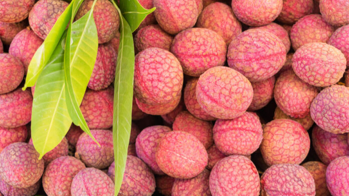Does eating Litchi increase or decrease weight