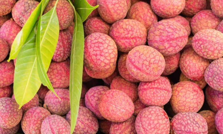 Does eating Litchi increase or decrease weight