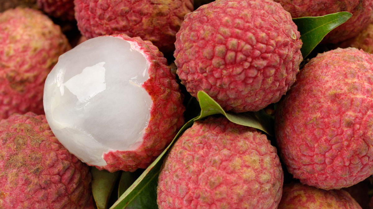 Does eating Litchi increase or decrease weight