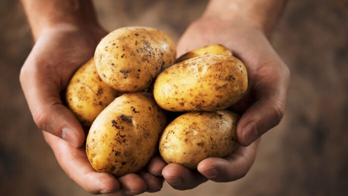 Enjoy 10 unique potato recipes from around the world