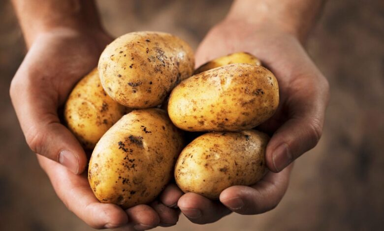 Enjoy 10 unique potato recipes from around the world