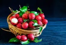 Everything fails in front of Litchi in giving relief from heat! This poor state produces the most