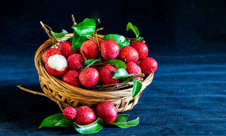 Everything fails in front of Litchi in giving relief from heat! This poor state produces the most