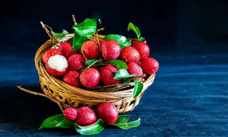 Everything fails in front of Litchi in giving relief from heat! This poor state produces the most