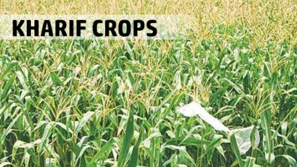 Grow this crop without water and fertilizer in Kharif season, you will become rich in 65 days