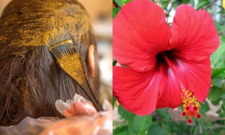 Hibiscus flower gives not just one but many benefits to the hair