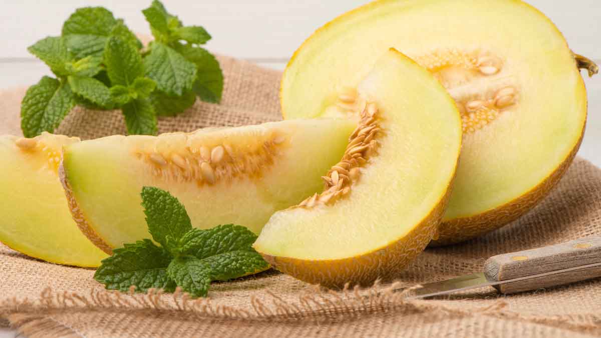 How to identify the sweetness of muskmelon Buy it with these tips