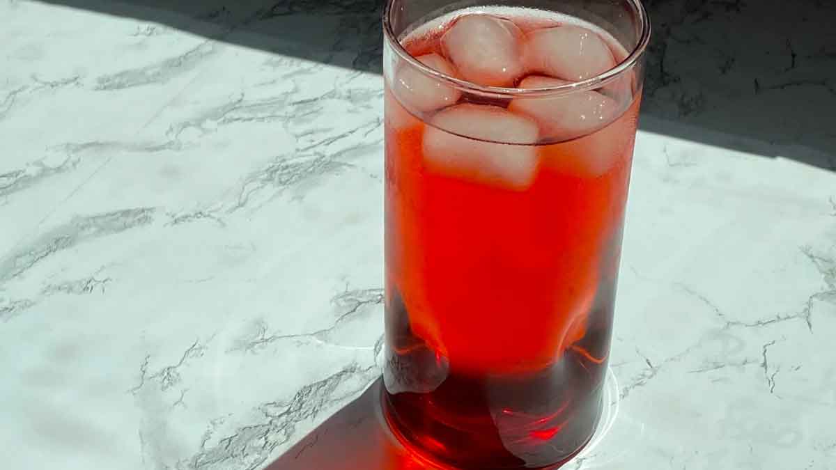 How to make RoohAfza at home