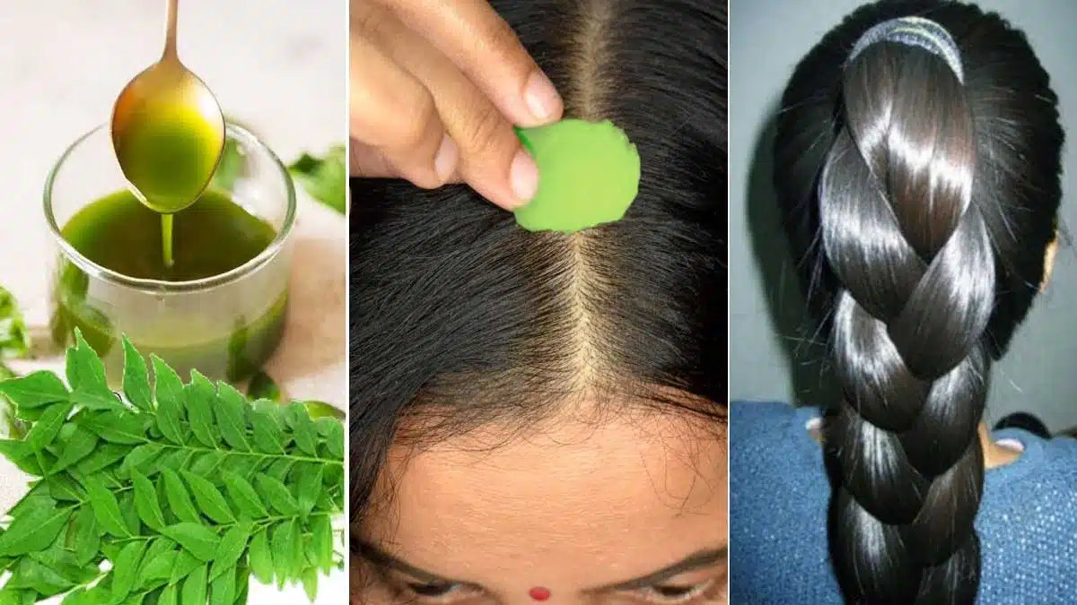 How to prevent hair fall using curry leaves