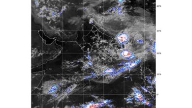IMD Light to moderate rainfall likely in eastern, north-eastern regions