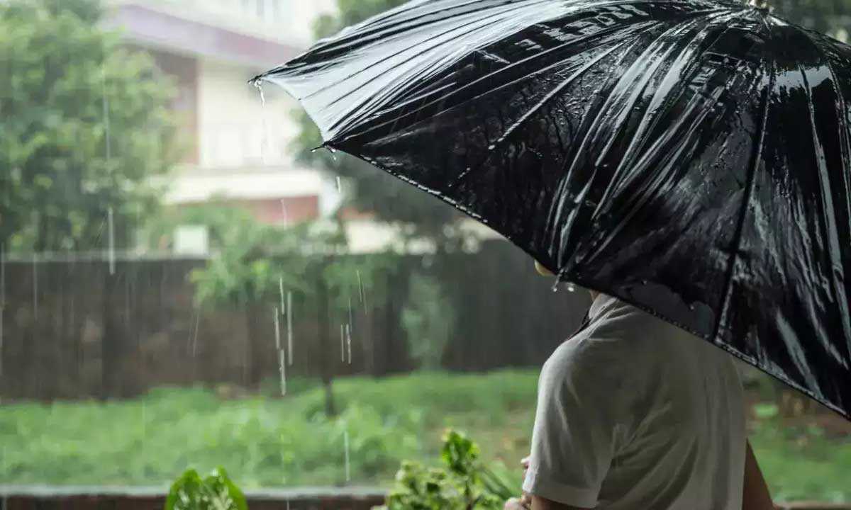 IMD Light to moderate rainfall likely in eastern, north-eastern regions