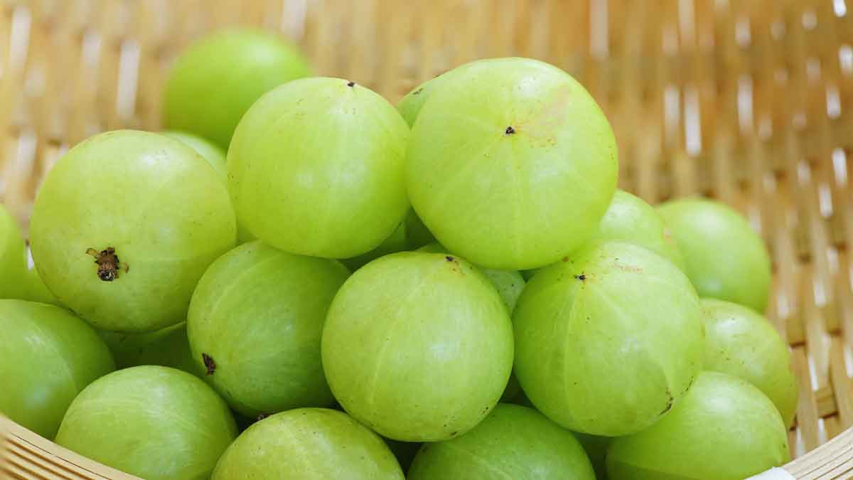 If fasting blood sugar remains high, then drink Amla juice every morning on an empty stomach