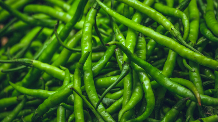If you also eat Green Chillies every day, then know the amazing benefits of eating it