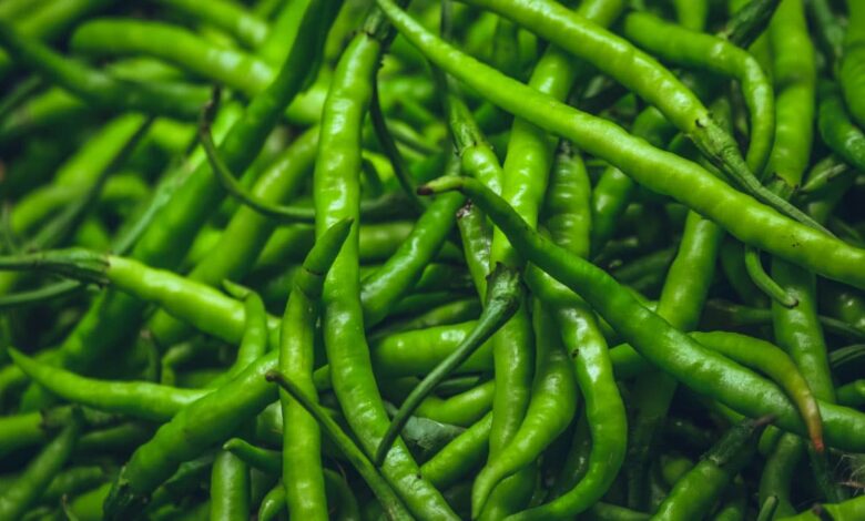 If you also eat Green Chillies every day, then know the amazing benefits of eating it