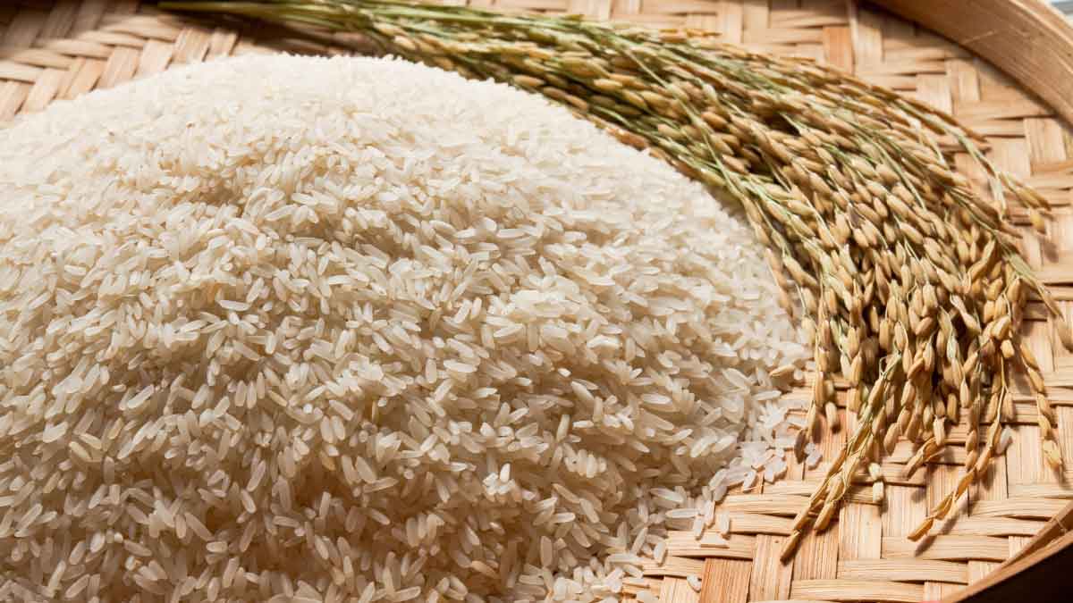 If you eat Rice like this then your weight will not increase