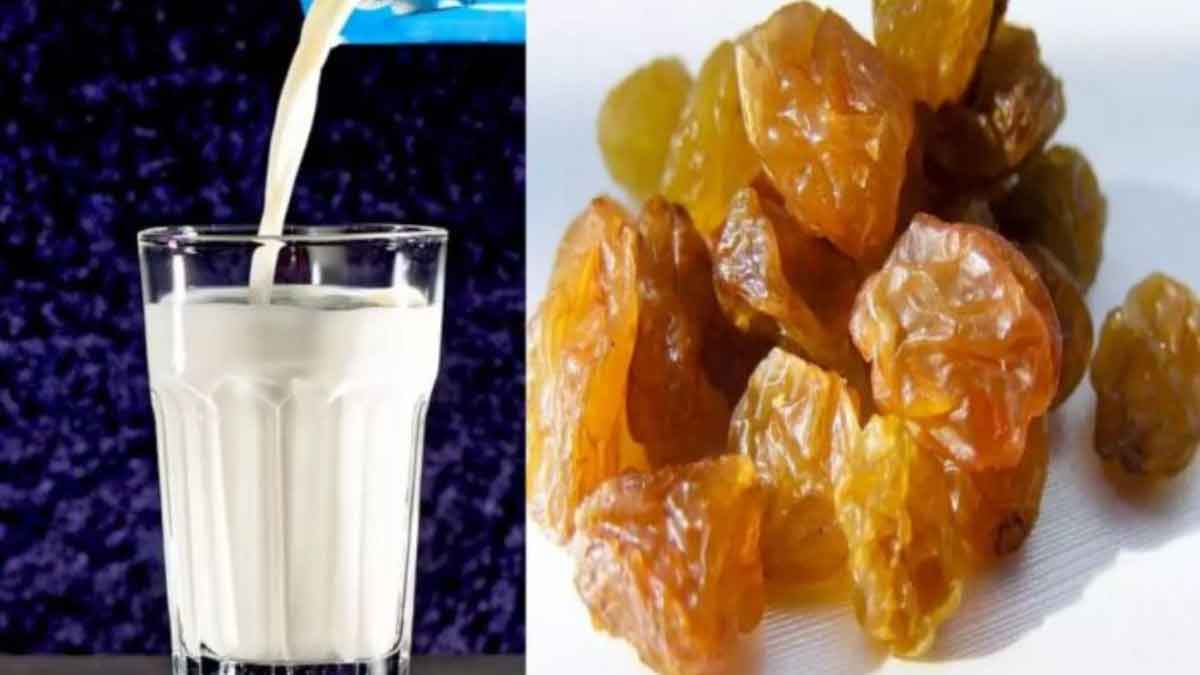 If you eat raisins soaked in milk, you will get so many benefits
