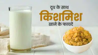 If you eat raisins soaked in milk, you will get so many benefits