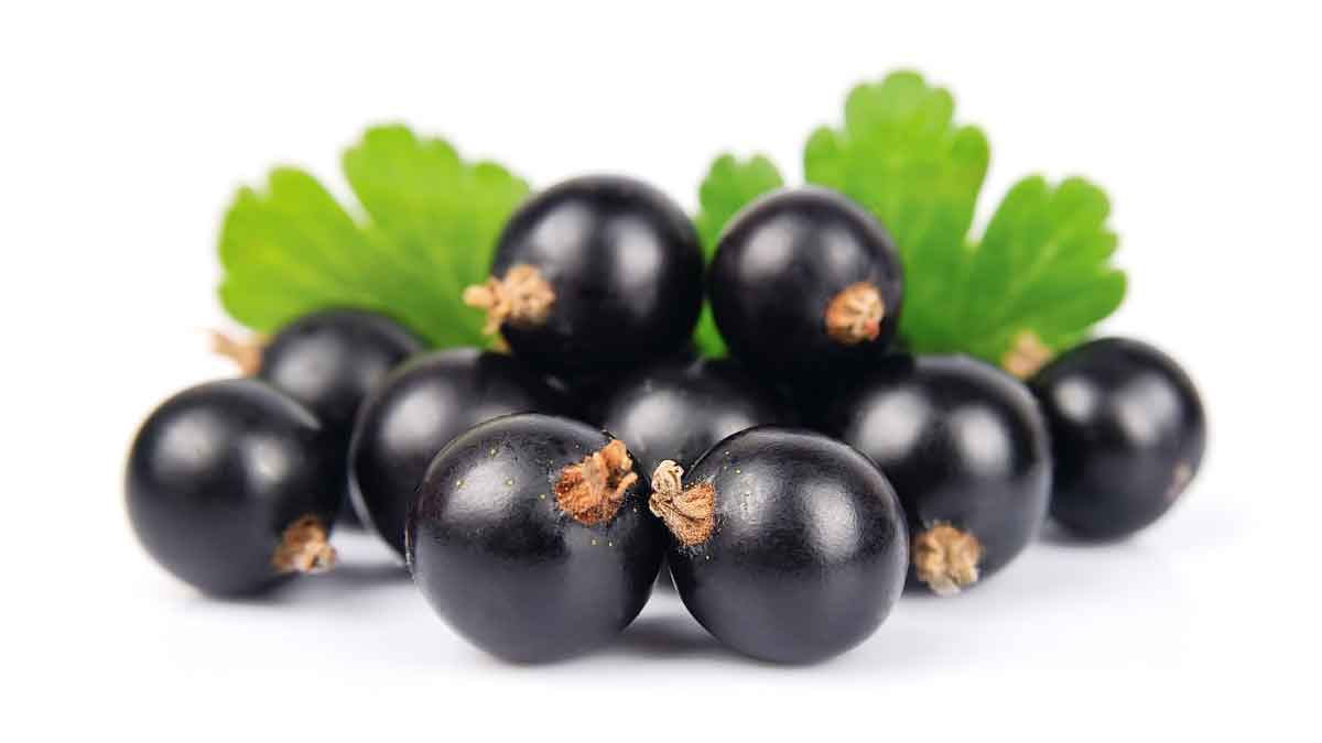 If you eat this Black fruit, your diseases will go away