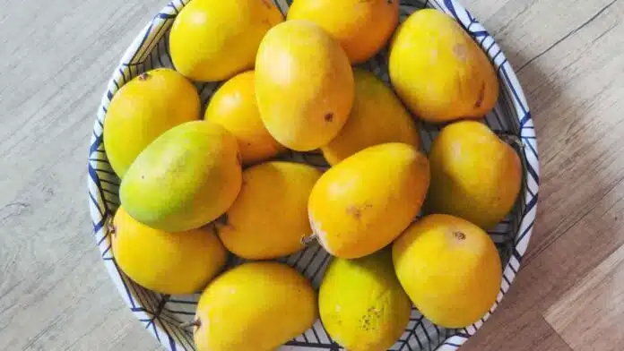 If you want to eat Mangoes for 6 months, then store them like this this summer