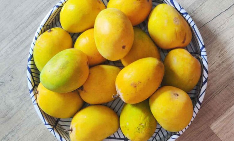 If you want to eat Mangoes for 6 months, then store them like this this summer