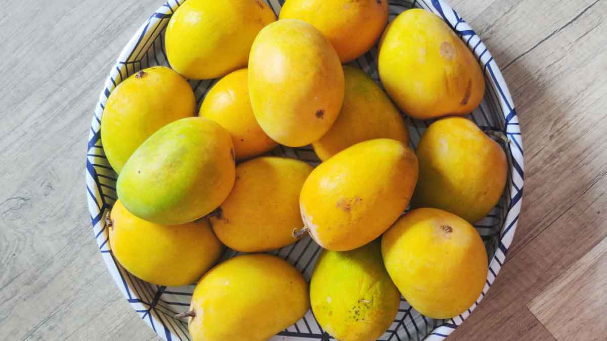 If you want to eat Mangoes for 6 months, then store them like this this summer