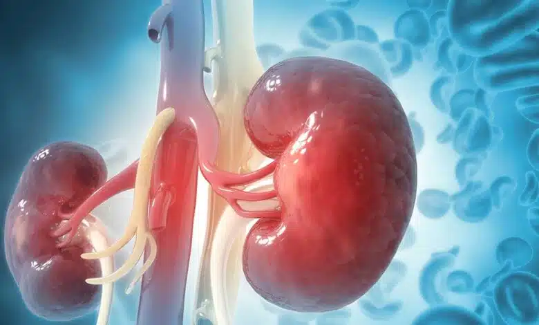 Is sweating good for kidneys
