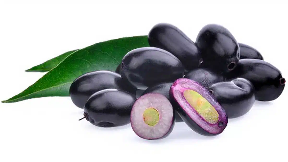 Jamun medicinal properties and 10 health benefits