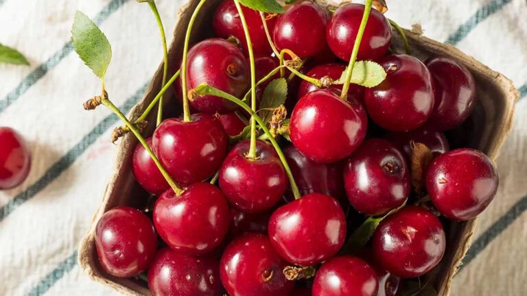 Tart Cherries खाने के जानिए 6 फ़ायदे