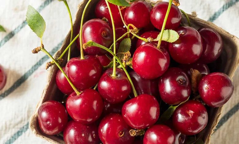 Know 6 benefits of eating tart cherries