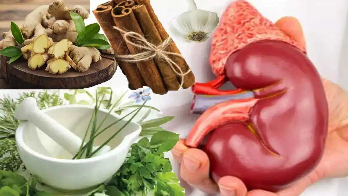 Know home remedies to reduce creatinine level