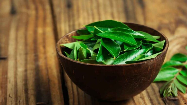 Curry leaves: नुकसान ही नुकसान! घर में करी पत्ते उगाने से पहले जान लें ये 7 बातें