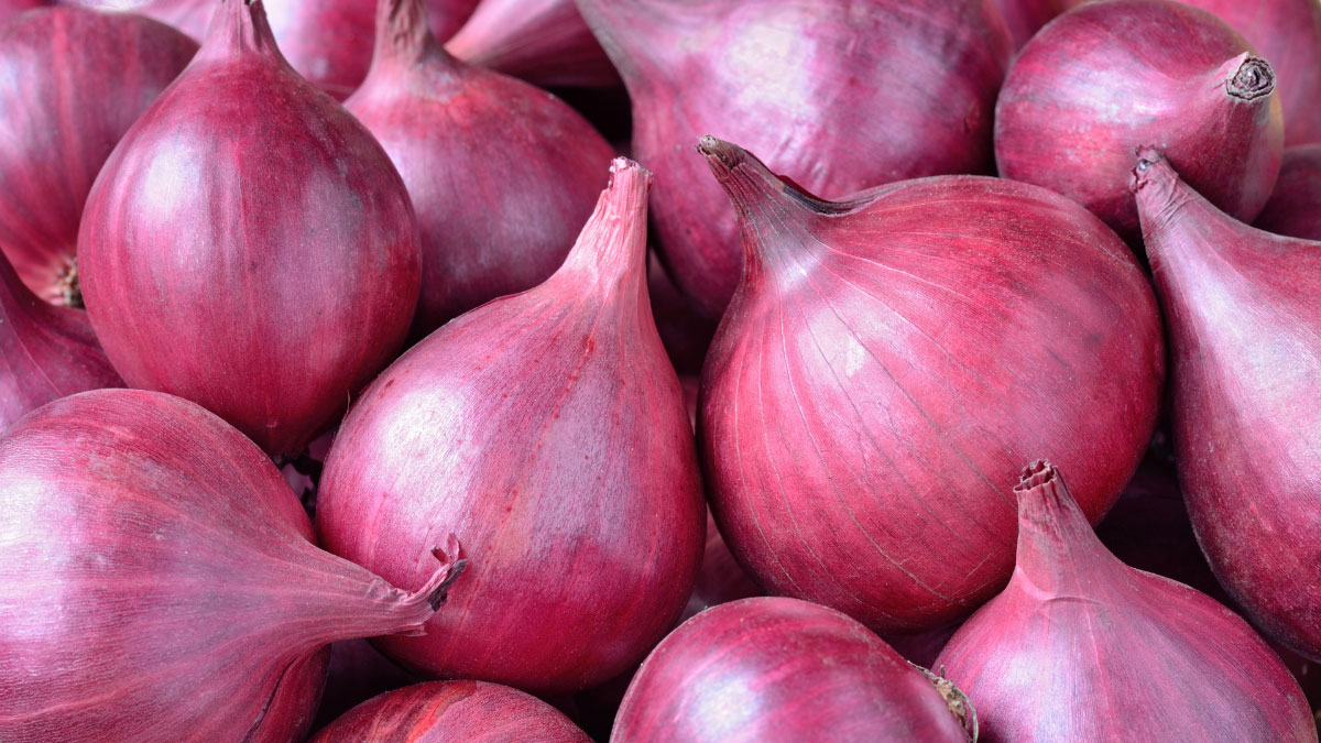 Make instant Pickled Onion at home in summer