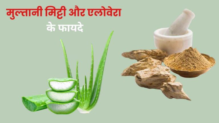 Multani soil में मिलाकर लगाएं ये 1 खास चीज, खूबसूरती का सीक्रेट 