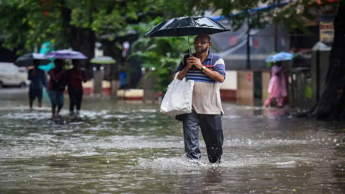 Monsoon arrived in Maharashtra around 44 mm rain fell in these areas