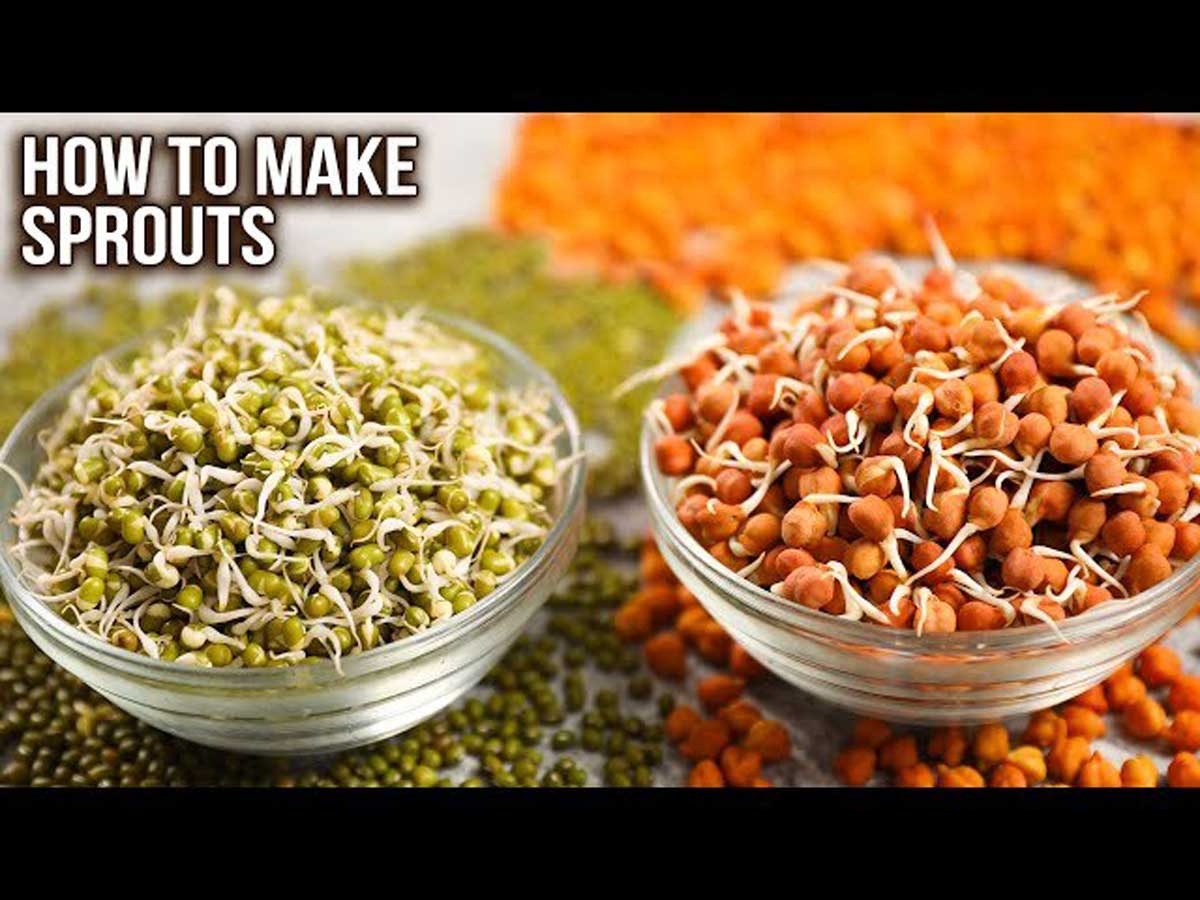 Nutrients of Sprouts and How to Make Sprouts at Home