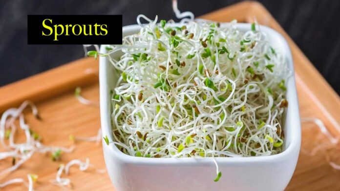 Nutrients of Sprouts and How to Make Sprouts at Home