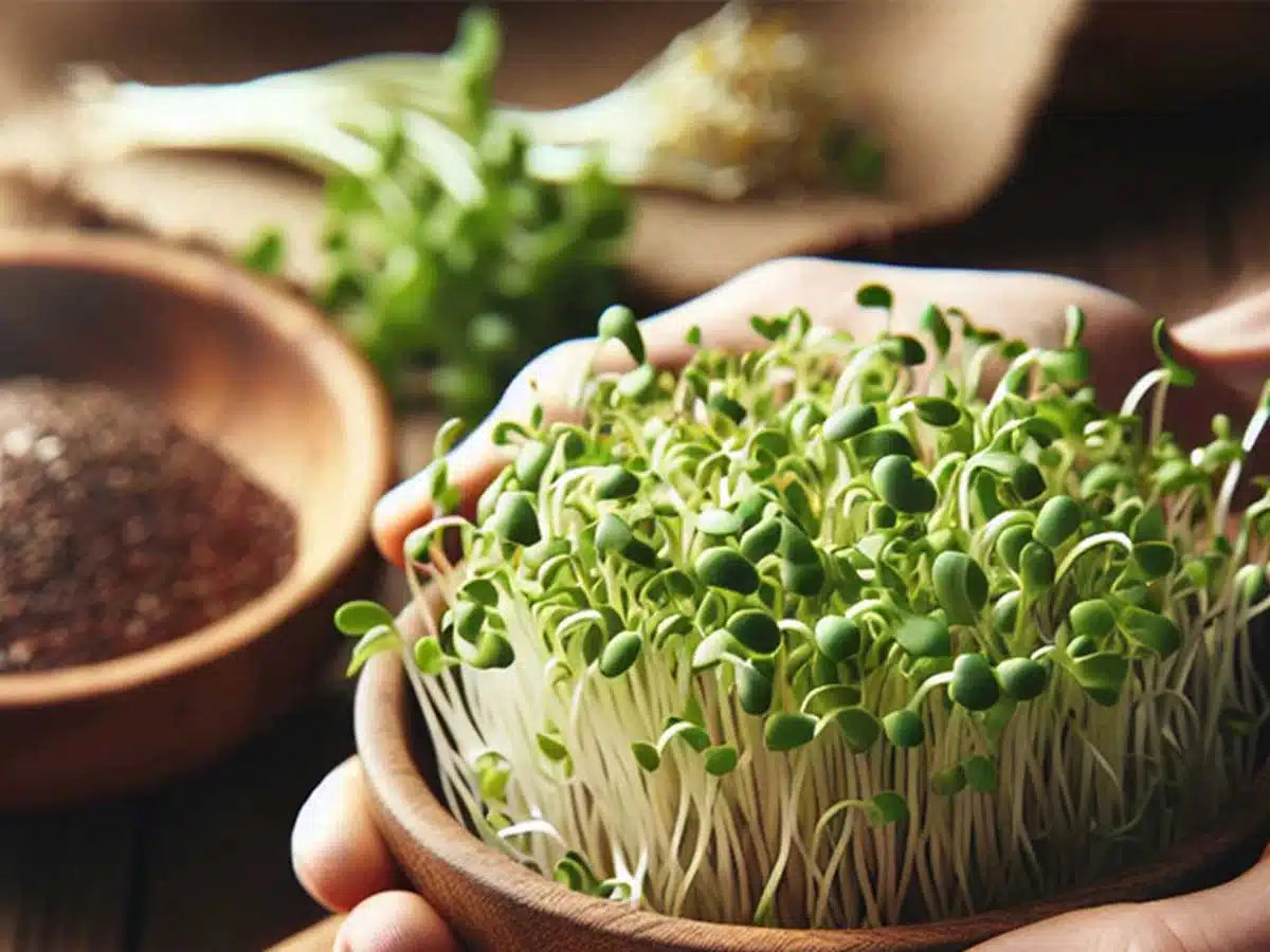 Nutrients of Sprouts and How to Make Sprouts at Home