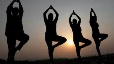 Preparations for International Yoga Day begin in UP and Haryana