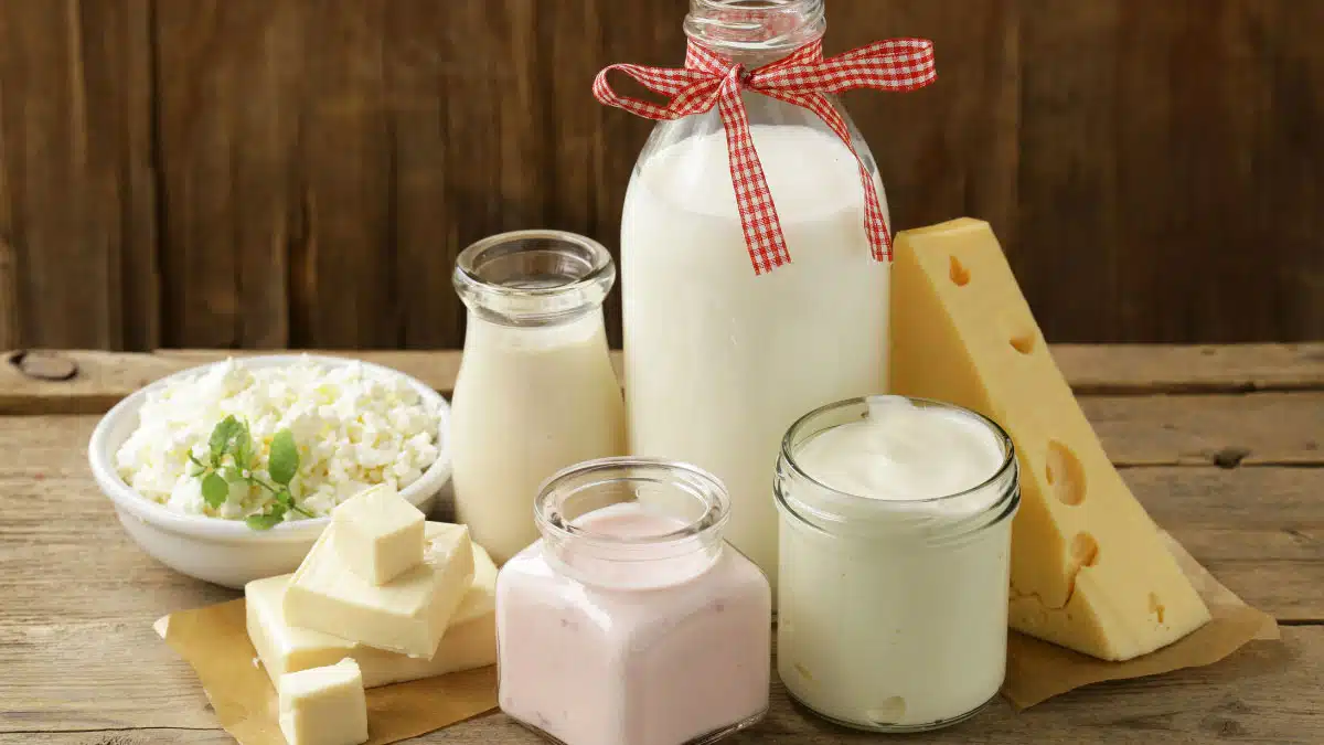 Protein-Rich Food Feed these 7 protein-rich foods to your children for a sharp brain