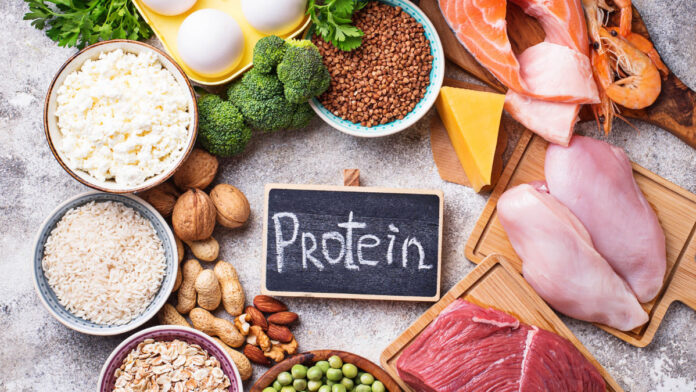 Protein-Rich Food Feed these 7 protein-rich foods to your children for a sharp brain