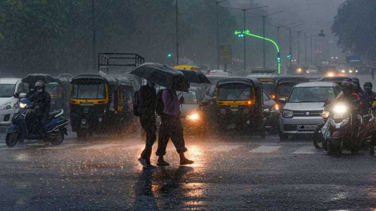 Rain and strong wind alert in 10 districts of Madhya Pradesh IMD