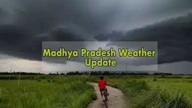 Rain and strong wind alert in 10 districts of Madhya Pradesh IMD