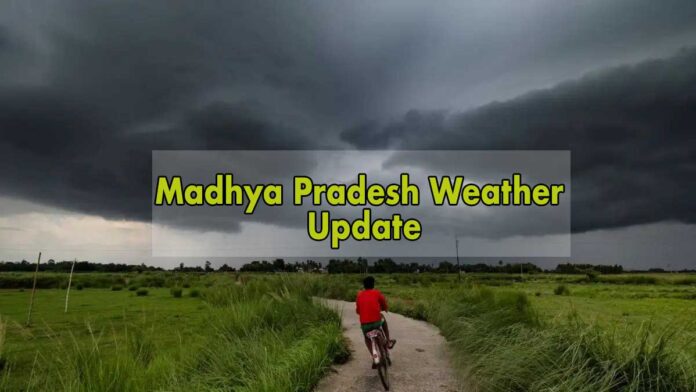 Rain and strong wind alert in 10 districts of Madhya Pradesh IMD