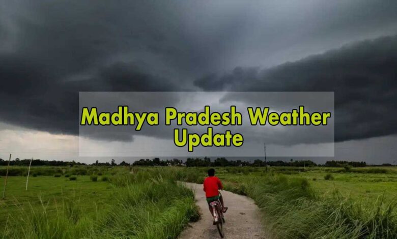 Rain and strong wind alert in 10 districts of Madhya Pradesh IMD