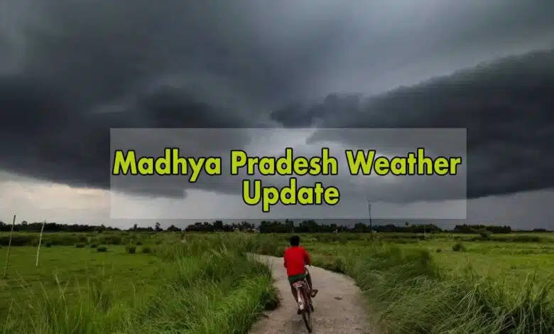 Rain and strong wind alert in 10 districts of Madhya Pradesh IMD